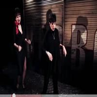 STAGE TUBE: Liza Minnelli Meets Meow Meow & 'The Umbrellas of Cherbourg' Company in…